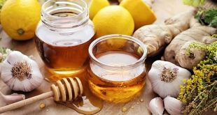 العسل والزنجبيل يقتلان الجراثيم أفضل من الأدوية
