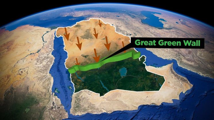 كيف تحول السعودية صحاريها إلى أرض خضراء يانعة؟