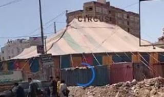 جهات
      التحقيقات
      توقف
      جميع
      أعمال
      سيرك
      طنطا
      بعد
      واقعة
      هجوم
      أسد
      على
      عامل