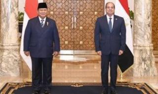 أخبار
      مصر..
      الرئيس
      السيسى
      ونظيره
      الإندونيسى
      يؤكدان
      ضرورة
      بدء
      عملية
      إعادة
      إعمار
      غزة
      دون
      تهجير