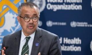 ‌مصر
      تطلق
      أول
      برنامج
      لمكافحة
      نواقل
      الأوبئة
      فى
      الشرق
      الأوسط
      وشمال
      أفريقيا