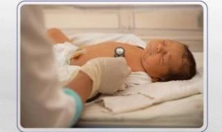 بيان
      محمد
      إبراهيم..
      الصحة
      تكشف
      تفاصيل
      أول
      مولود
      فى
      2026