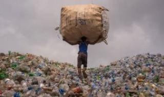 خبراء
      يؤكدون:
      «البلاستيك
      القاتل
      الصامت»..
      ويضعون
      5
      خطوات
      لإنقاذ
      البشرية