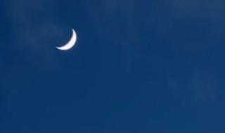 دار
      الإفتاء:
      غدا
      الجمعة
      أول
      أيام
      عيد
      الفطر
      المبارك
      لعام
      1447
      هجريا