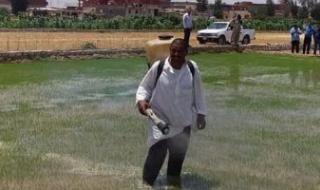 كل
      ما
      تريد
      معرفته
      عن
      عقوبات
      زراعة
      الأرز
      بالمخالفة
      للقرار
      الوزارى