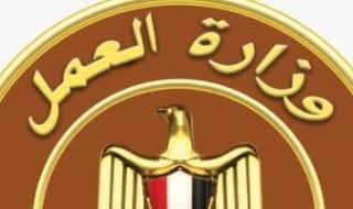 وزارة العمل تعلن عن فرص عمل في الأمن والحراسة.. بينها 64 وظيفة أمن نسائي
