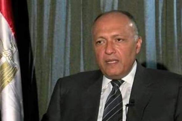 سامح شكري: اجتماع وزراء الخارجية العرب رسالة للعالم | فيديو