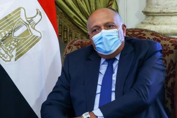 وزير الخارجية المصري يدعو لوقف الاعتداءات الإسرائيلية في فلسطين