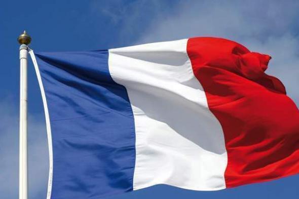 فرنسا: عدم تفعيل طرح الدولتين قد يؤدي إلى فصل عنصري في إسرائيل
