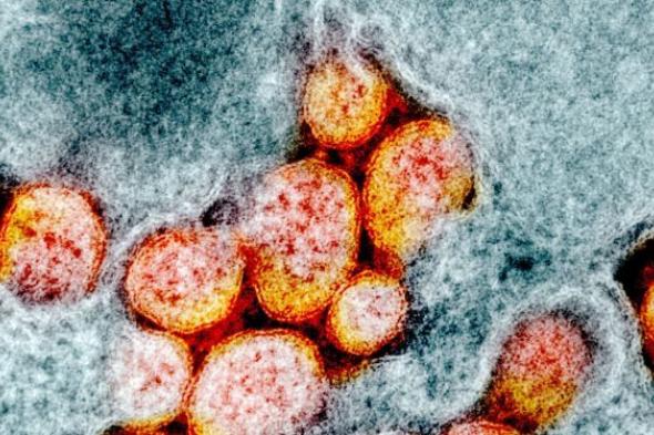 أمريكا: نشعر بخيبة أمل كبيرة بسبب موقف الصين من التحقيق نشأة فيروس كورونا