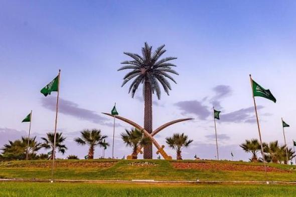 الباحة تتوشح بأعلام الوطن وصور القيادة وتكتسي بالأخضر