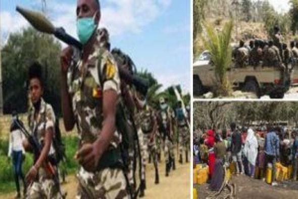 قوات جبهة تيجراى تسيطر على مدينة "دبرى سينا" شمال أديس أبابا