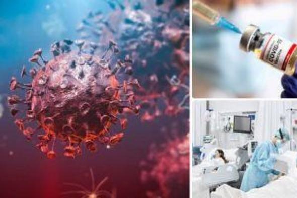 أخصائي علم فيروسات: لا خطر في التقاء فيروسي كورونا والأنفلونزا