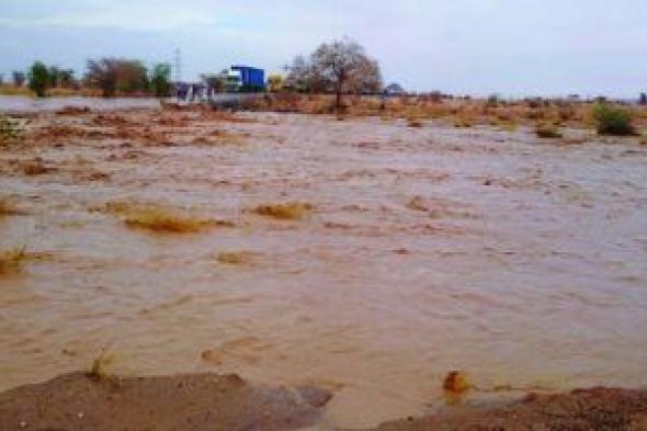 مجلس حكماء المسلمين يعزي السودان في ضحايا السيول والفيضانات