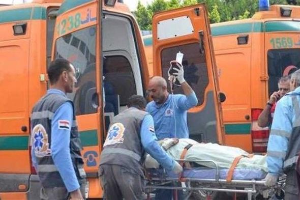 مصر: مصرع وإصابة 20 من أسرة واحدة في حادث مروع