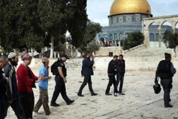حراس
      المسجد
      الأقصى
      يحبطون
      إدخال
      مستوطنين
      قربانا
      لذبحه
      بالطقوس
      اليهودية