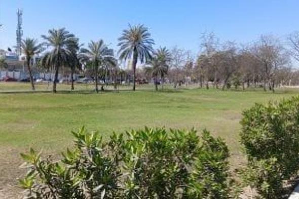 أخبار
      مصر..
      ارتفاع
      بدرجات
      الحرارة
      غدا
      وفرص
      أمطار
      والعظمى
      بالقاهرة
      31
      درجة