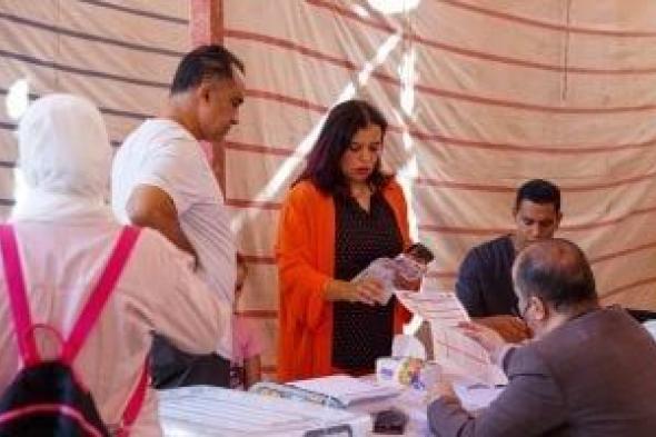 القانون
      يحدد
      عقوبة
      التصويت
      فى
      الانتخابات
      أكثر
      من
      مرة..
      اعرف
      التفاصيل