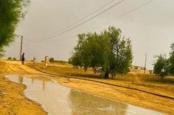 أمطار
      غزيرة
      على
      شمال
      سيناء
      والمحافظة
      ترفع
      درجة
      الاستعداد