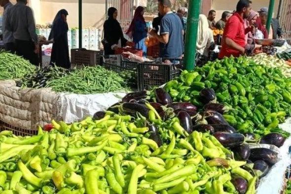 أسعار
      الخضر
      والفاكهة
      بأسواق
      الوادي
      الجديد