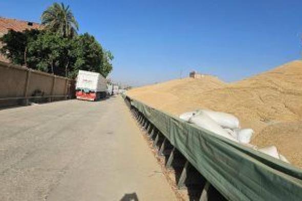 معهد
      وقاية
      النباتات
      يكشف
      دور
      أقراص
      الغلة
      واستخدامها
      الآمن
      في
      حماية
      الحبوب