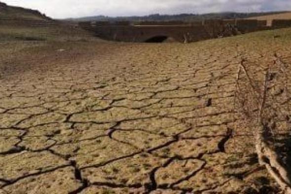 شبح
      الجفاف
      يهدد
      أوروبا..
      أقمار
      صناعية
      تكشف
      تقلص
      مخزون
      المياه
      العذبة