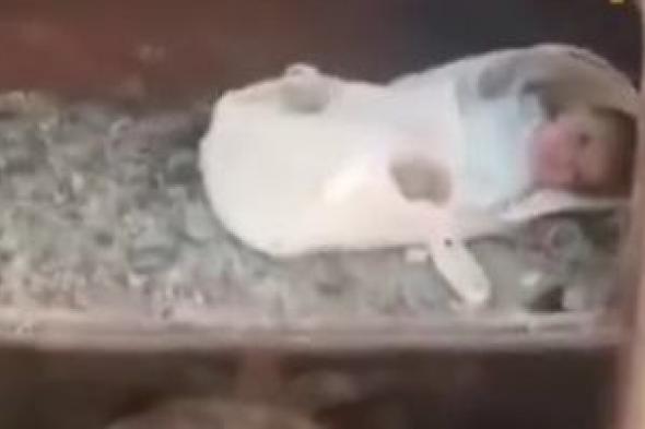 مشهد
      مؤلم
      يهز
      العراق..
      العثور
      على
      رضيع
      مُلقى
      على
      طريق
      البصرة..
      فيديو