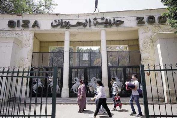 أكبر
      نقلة
      في
      تاريخ
      حديقة
      الحيوان..
      تطوير
      شامل
      يحولها
      إلى