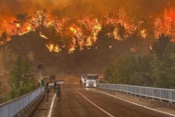 حرائق
      الغابات
      تلتهم
      آلاف
      الهكتارات
      بنيو
      ساوث
      ويلز
      الأسترالية..
      فيديو