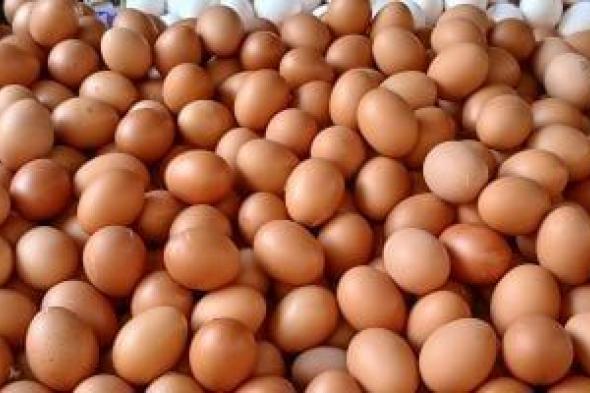 وزارة
      الزراعة:
      حققنا
      اكتفاءً
      ذاتيًا
      بنسبة
      100%
      من
      البيض
      والألبان