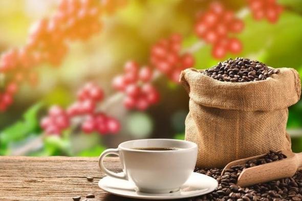 بعد
      ارتفاعه
      بشكل
      غير
      مسبوق..
      "تُجار
      البُن"
      يتوقعون
      انخفاض
      سعره
      في
      مصر
      بنسبة
      عشرين
      بالمئة