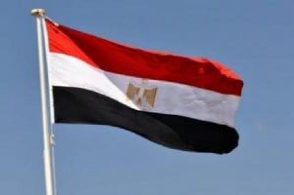 شينخوا:
      الصين
      عملت
      مع
      مصر
      ودول
      عربية
      على
      تطوير
      المجمعات
      العلمية
      والصناعية