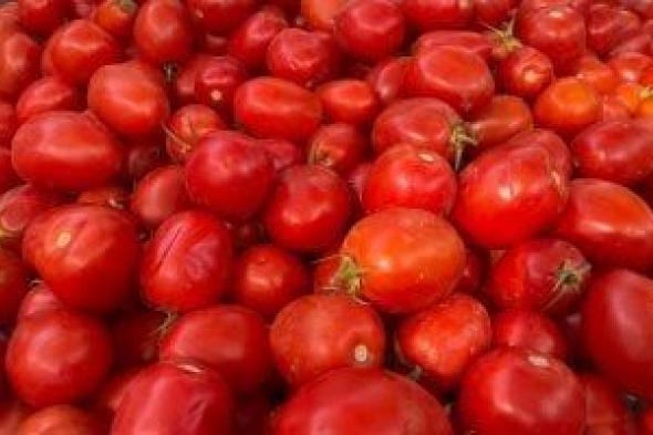 وزارة
      التموين
      تطرح
      الطماطم
      بمنافذ
      المجمعات
      الاستهلاكية
      بسعر
      15
      جنيها
      للكيلو