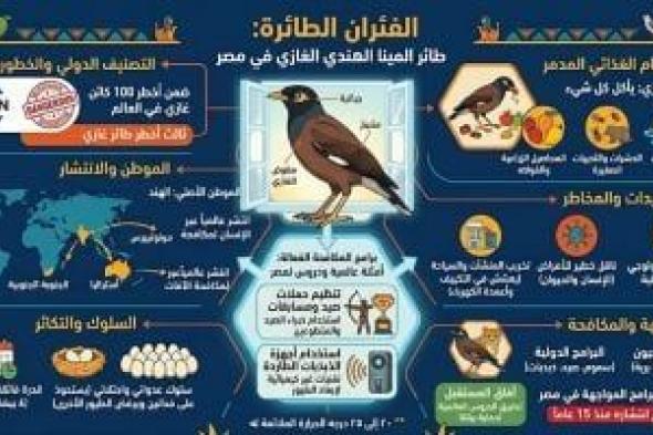 4
      مخاطر
      لطائر
      المينا
      الهندي
      «الفئران
      الطائرة»
      فى
      مصر..
      إنفوجراف