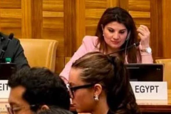 الأمم
      المتحدة
      تعتمد
      قراراً
      مصرياً
      بخصوص
      حماية
      العاملين
      في
      المجال
      الإنساني