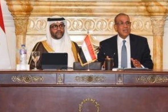 وزير الخارجية يعقد جلسة موسعة مع ممثلى القطاع الخاص